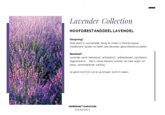 GDC Sperience Lavender ( Enkel voor vrouwen)